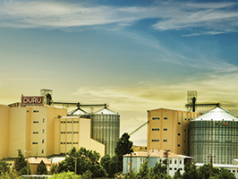 Duru Bulgur Öğütme